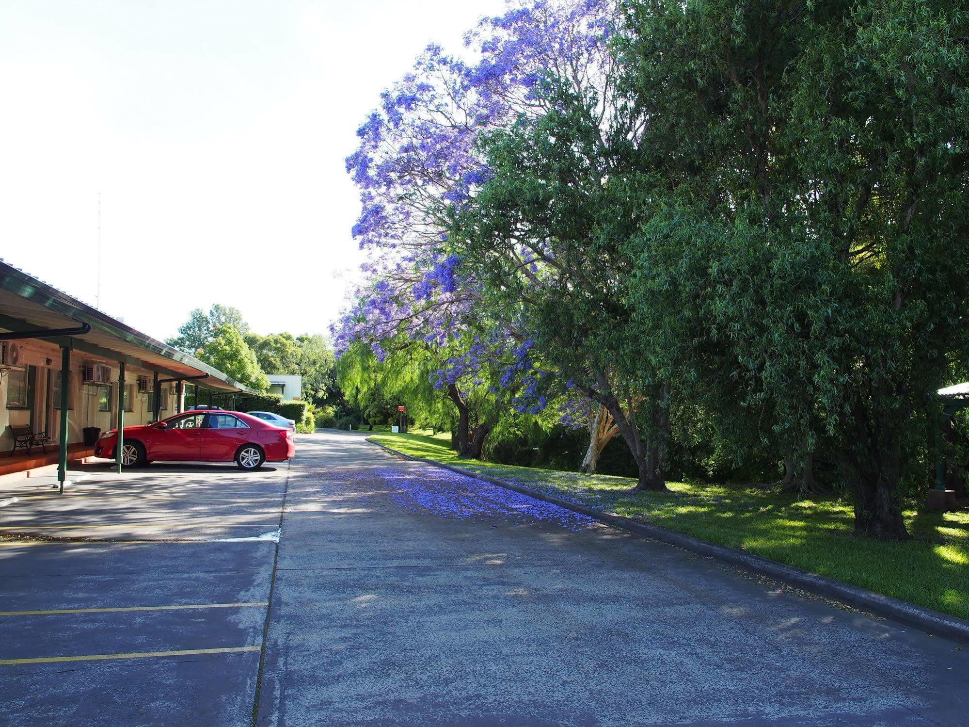 Solomon Inn Motel Figtree Wollongong Exterior photo